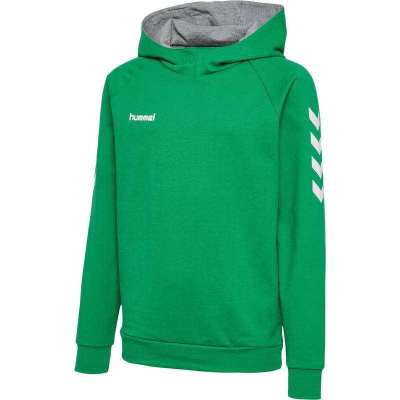 hummel HMLGO KIDS COTTON HOODIE Hoodie Kinder