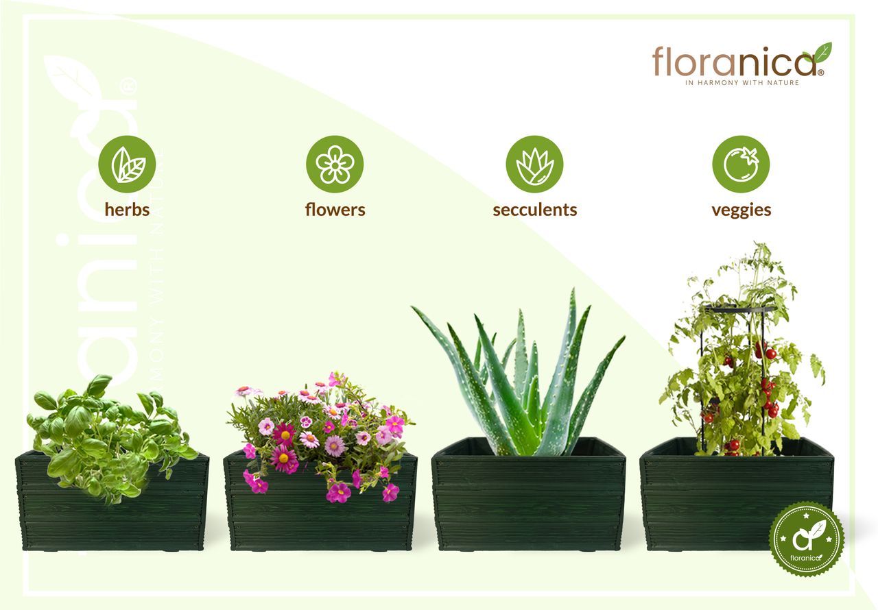 Pemicont Floranica Blumentopf aus Holz Kasten 50cm x 535cm x 285cm Grün Imprägnierte Lärche Schutzhülle für Kräuter Blumen Haus- und Gartendekoration Innen- und Außeneinsatz EU-Produkt