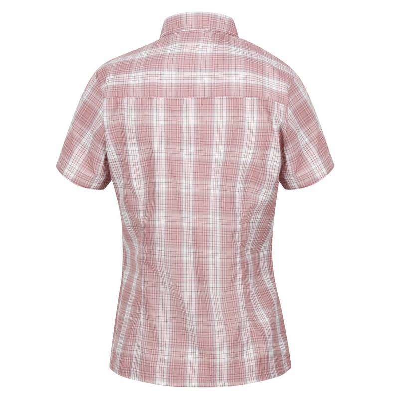 Regatta Mindano VII Funktionsbluse Damen
