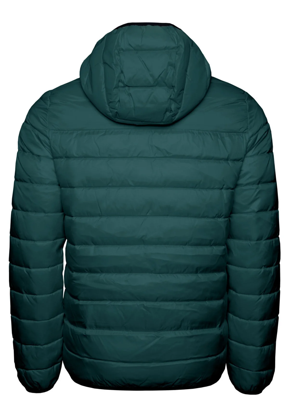 Chaqueta de invierno Champion