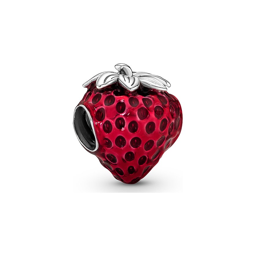 Pandora Charm Moments