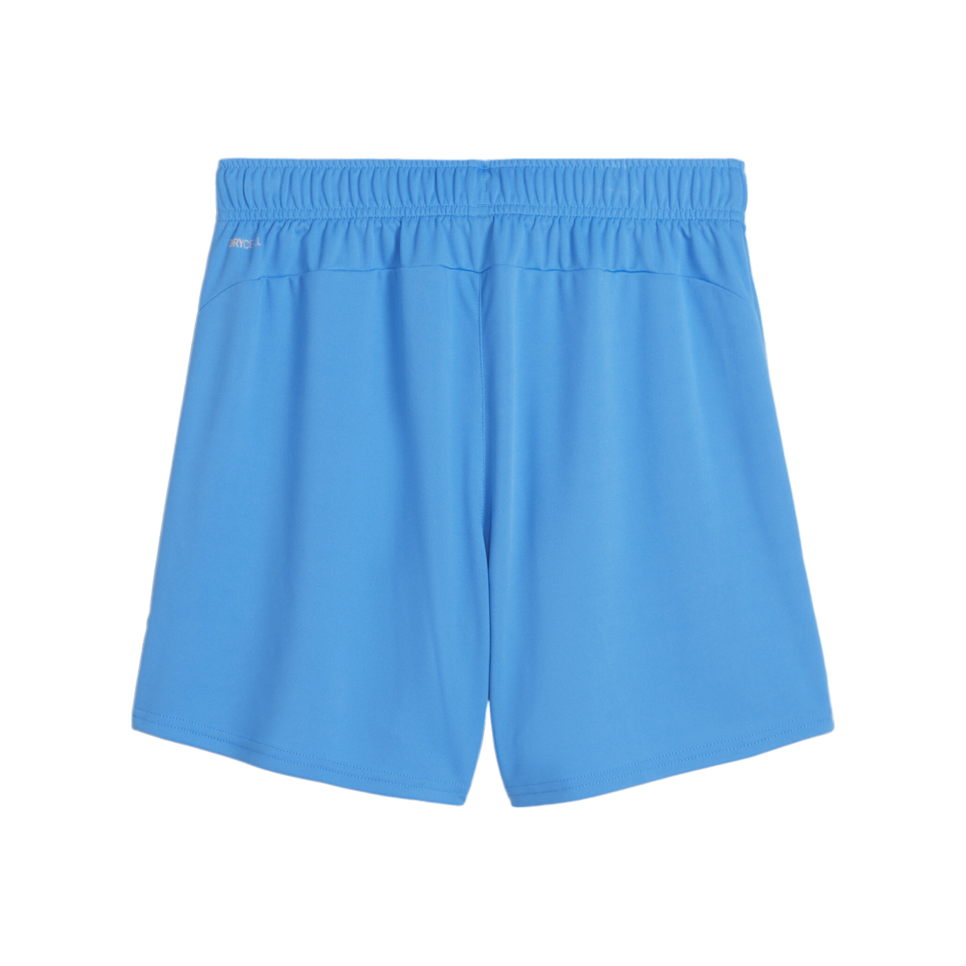 PUMA teamGOAL Short Damen Blau Weiss F02