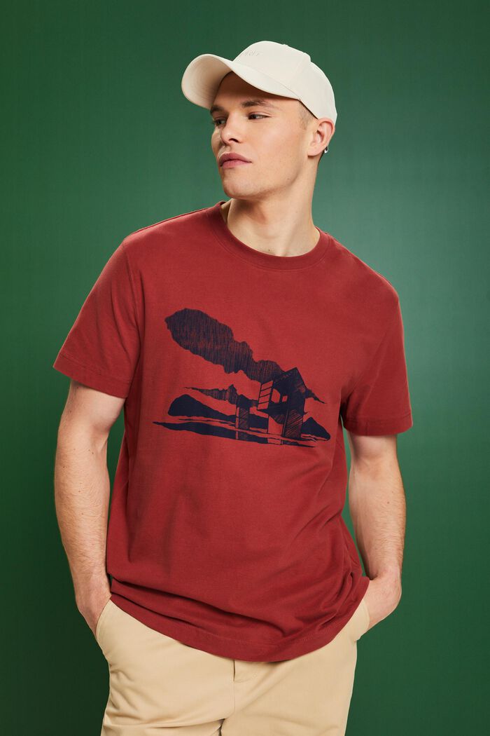 T-Shirt mit Grafikprint
