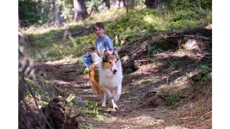 Lassie - Ein neues Abenteuer