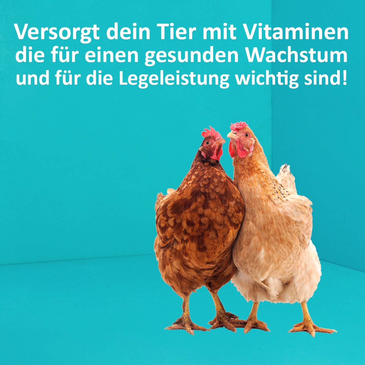 Greenhero Ergänzungsfutter Greenhero Hühner Vitamine