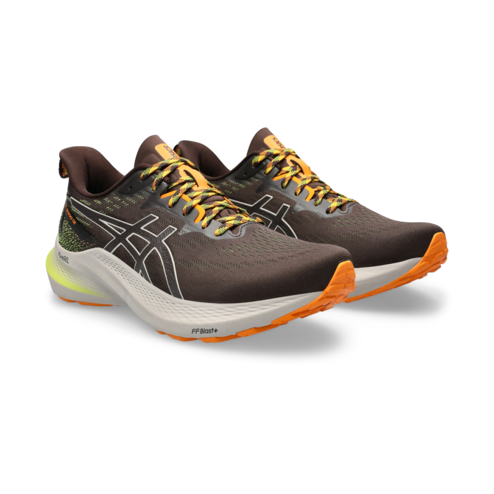 Asics GT 2000 12 TR 1011B775-200 / braun