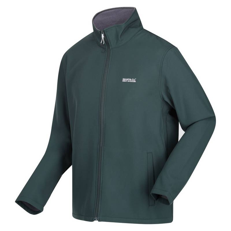 Regatta Cera V Softshelljacke Herren