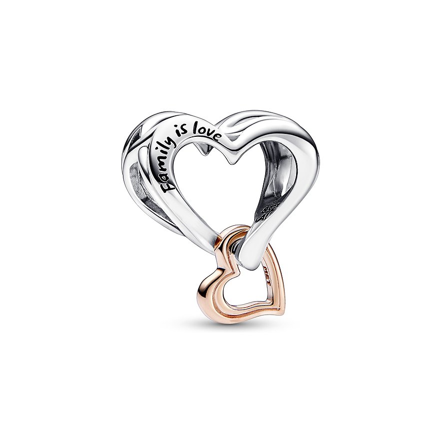 Pandora Charm Moments
