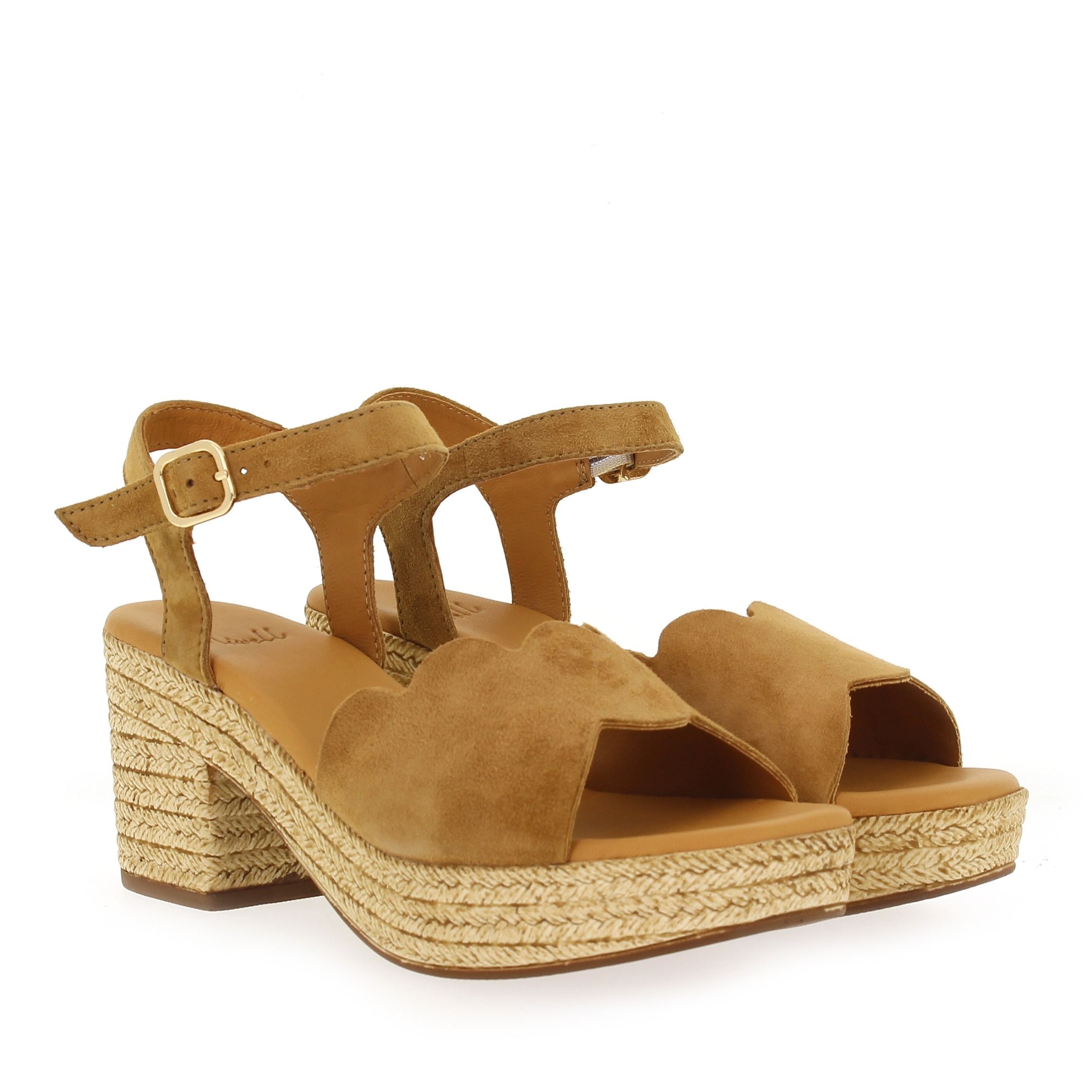 Aliwell  NOAM - Camel