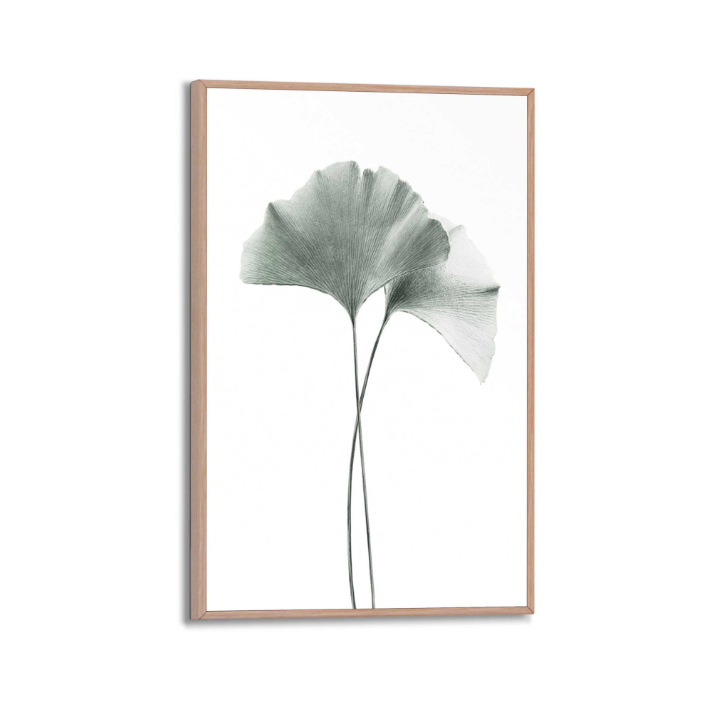Rahmenbild Gingko