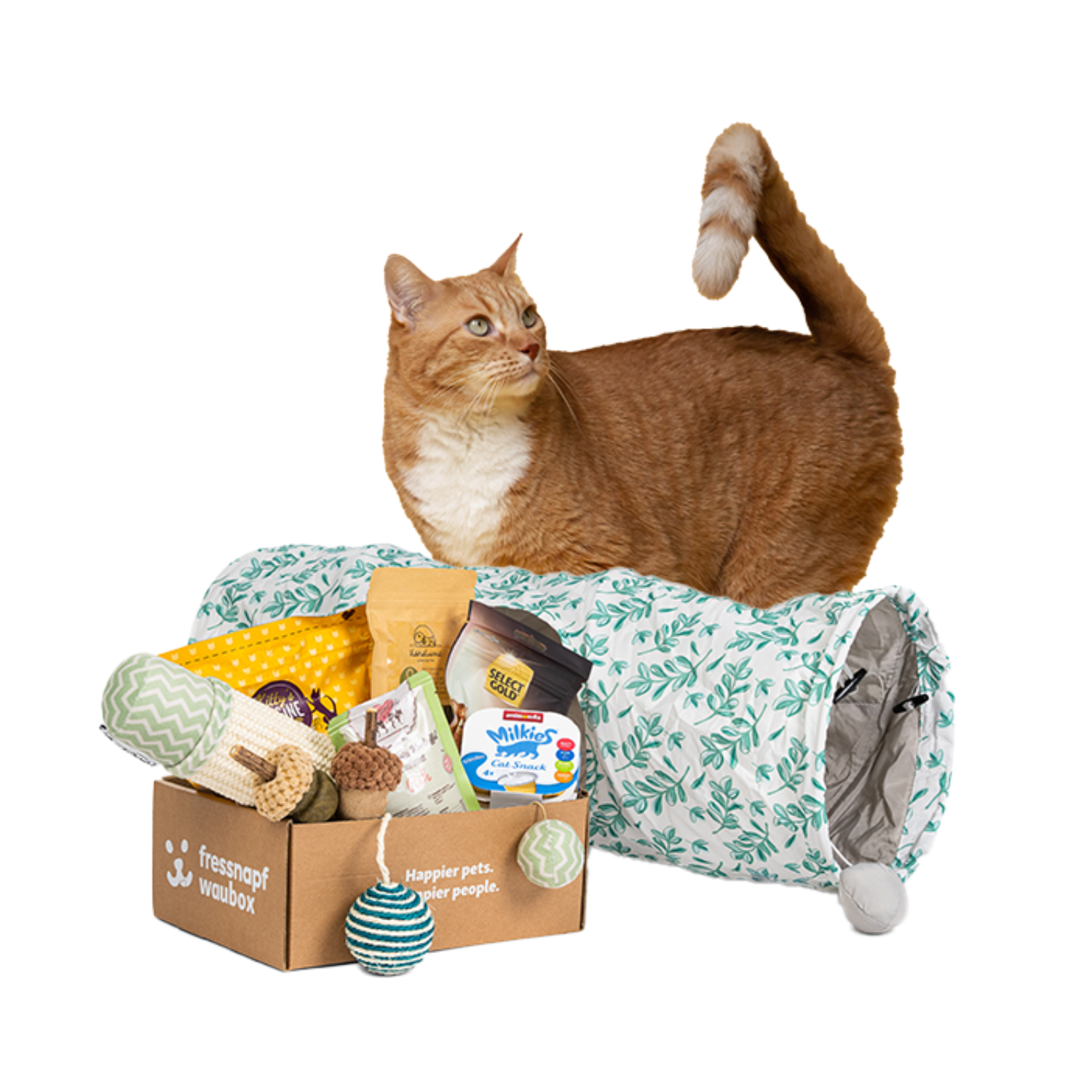 BOX Snacks BOX Miaubox