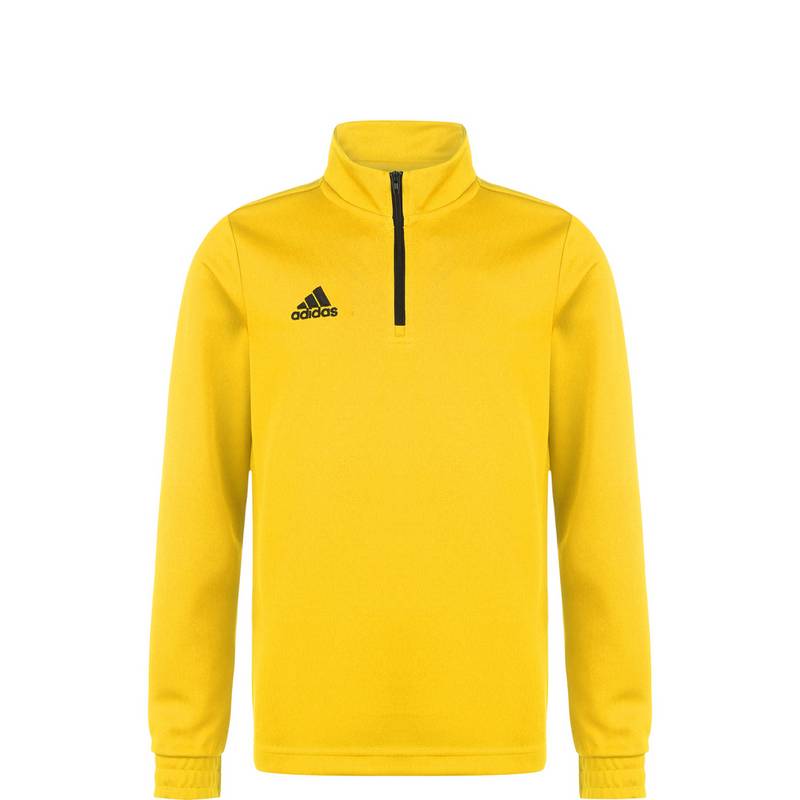 adidas Entrada 22 Sweatshirt Jungen