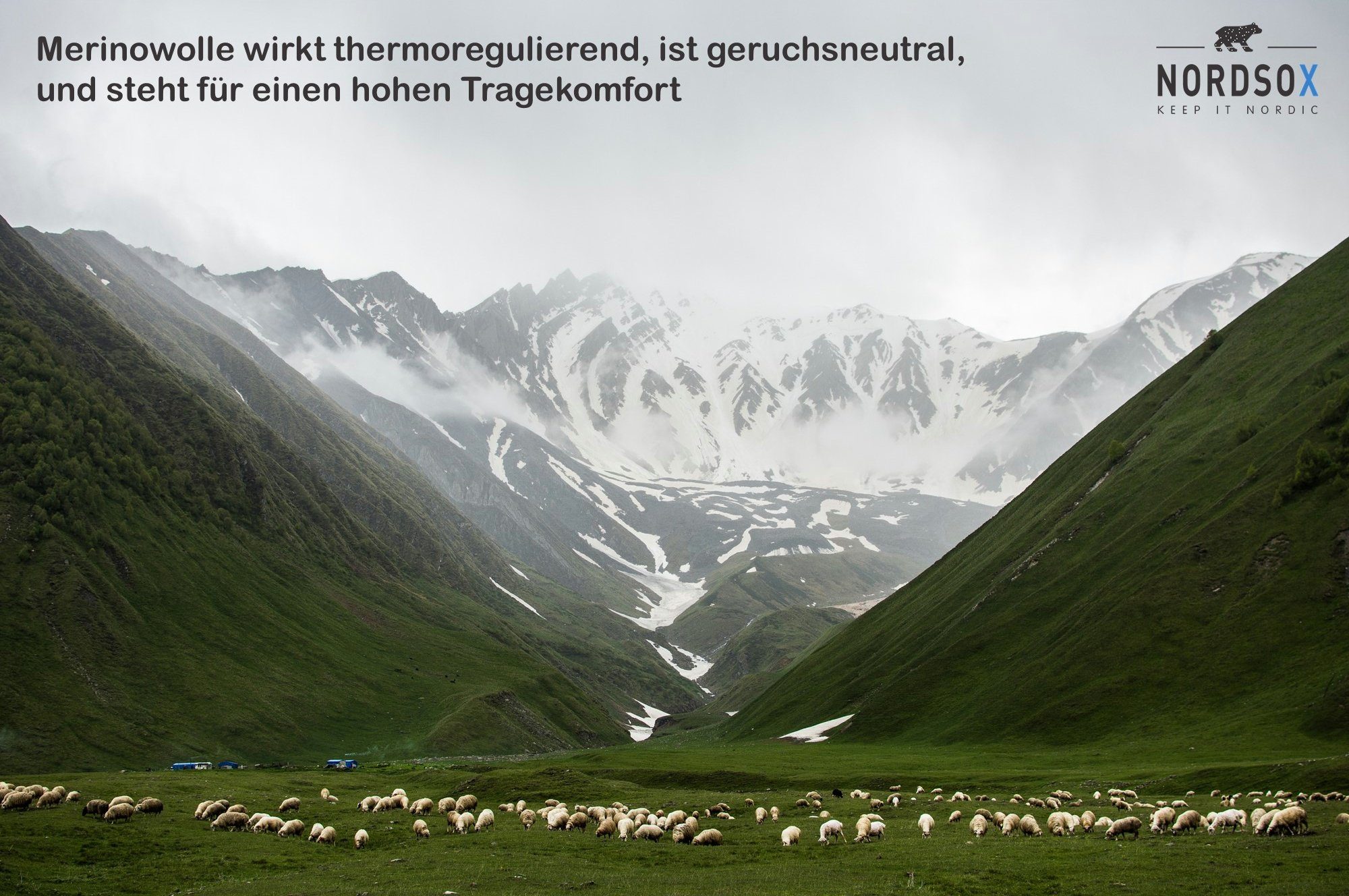 NORDSOX Wandersocken Merino Wolle für Damen und Herren (2-Paar) Klimaregulierend & gepolsterte Sohle und Ferse & weich & atmungsaktiv