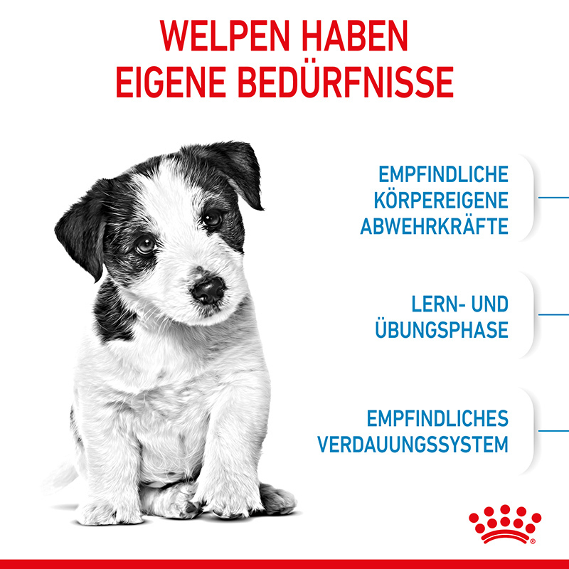 ROYAL CANIN Hundetrockenfutter ROYAL CANIN Mini Puppy 2 kg