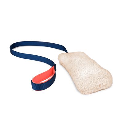 Coachi Hundespielzeug Chase & Crinkle