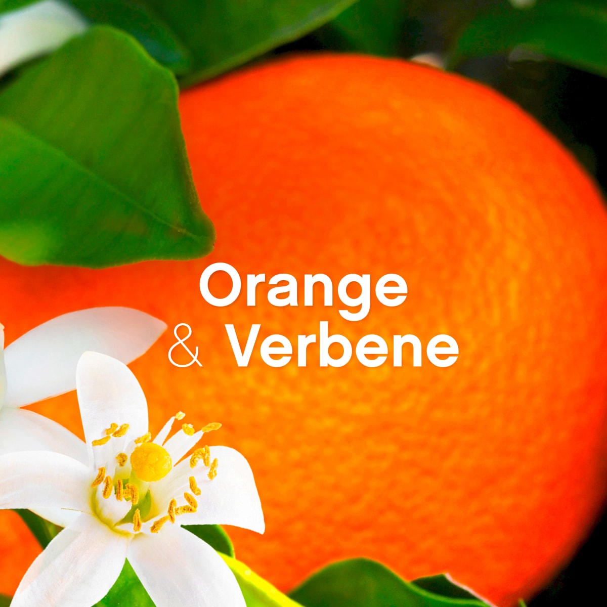 Weichspüler Orange & Verbene 56WL, 1,4 l