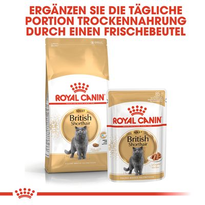 Royal Canin British Shorthair Adult in Soße