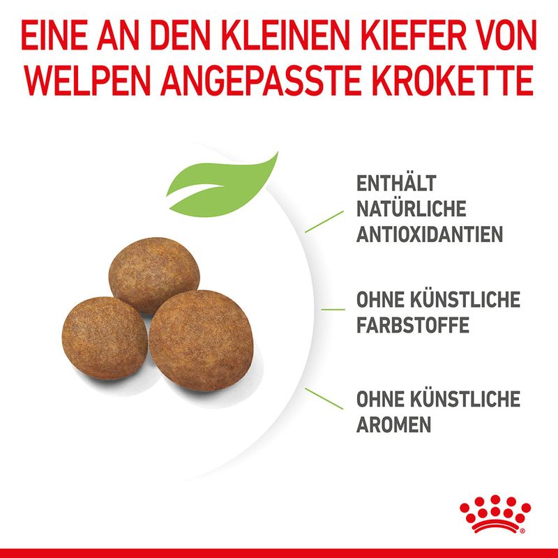 Royal Canin Giant Puppy zu TOP-Preisen