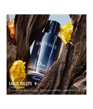 DIOR Sauvage Eau de Toilette-60 ml