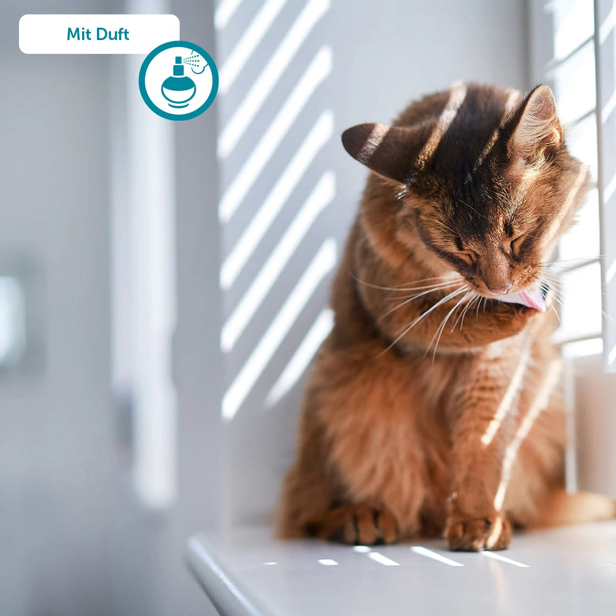 ZooRoyal Tigrooo Multi-Cat günstig kaufen