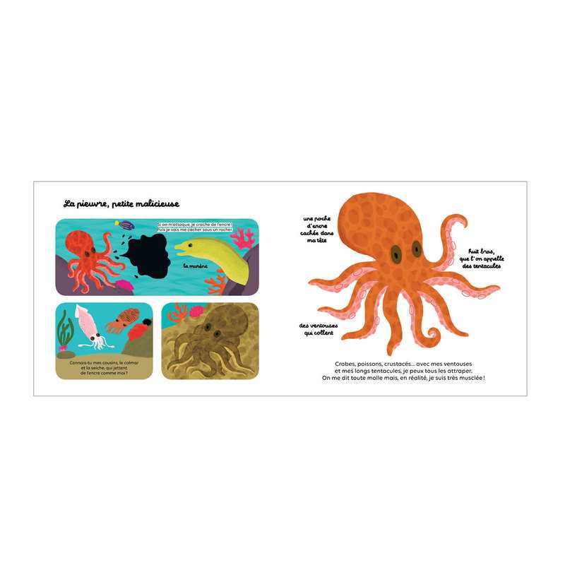 Livre Les animaux de la mer - Milan Jeunesse