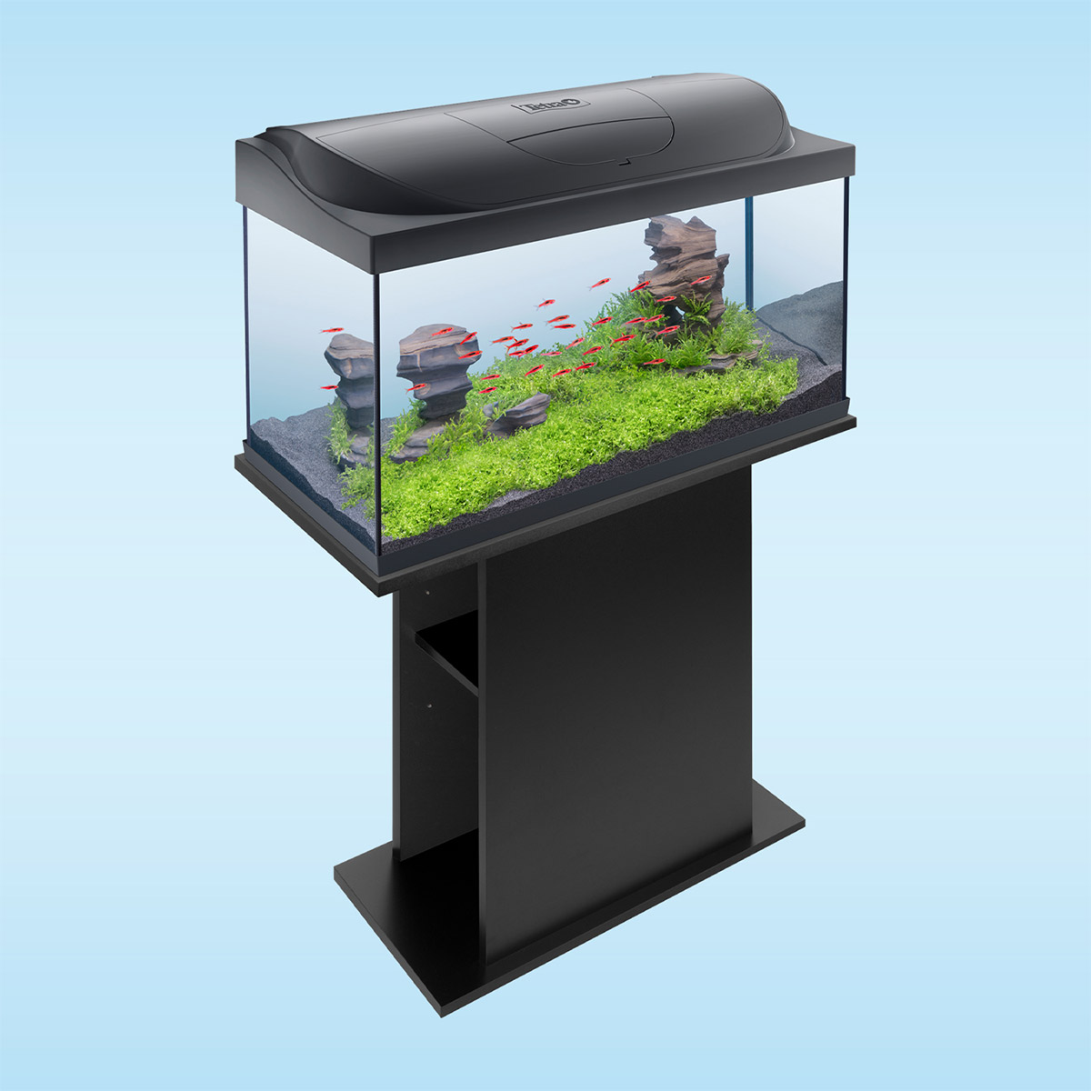 Tetra Starter Line LED Aquarium 105L günstig kaufen