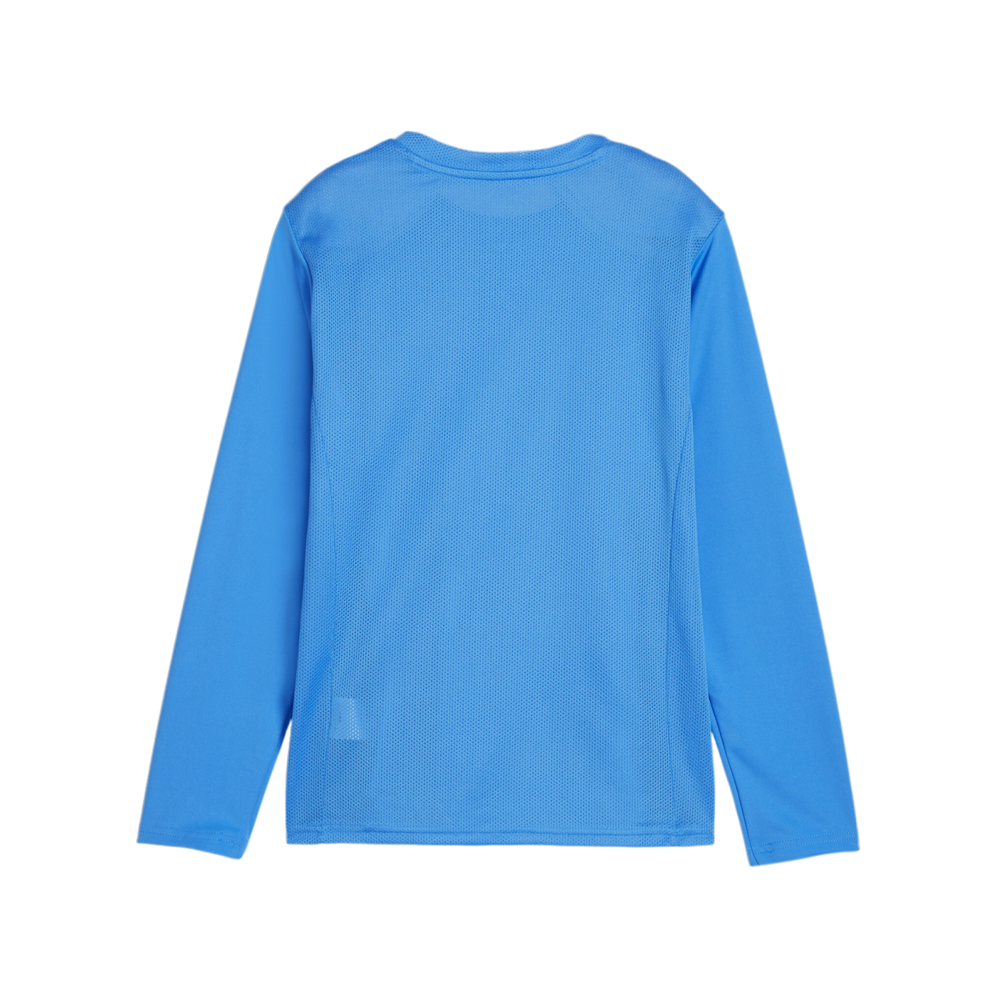 PUMA teamGOAL Trikot Langarm Kids Blau Weiss F02