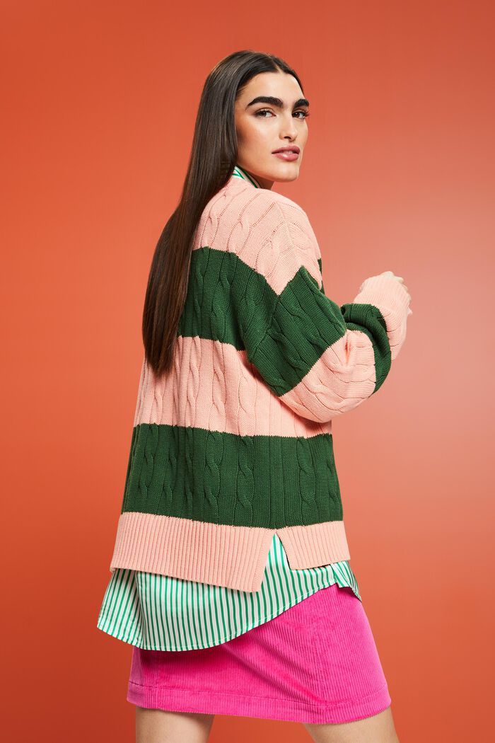 Gestreifter Zopfstrickpullover mit Delfin-Logo