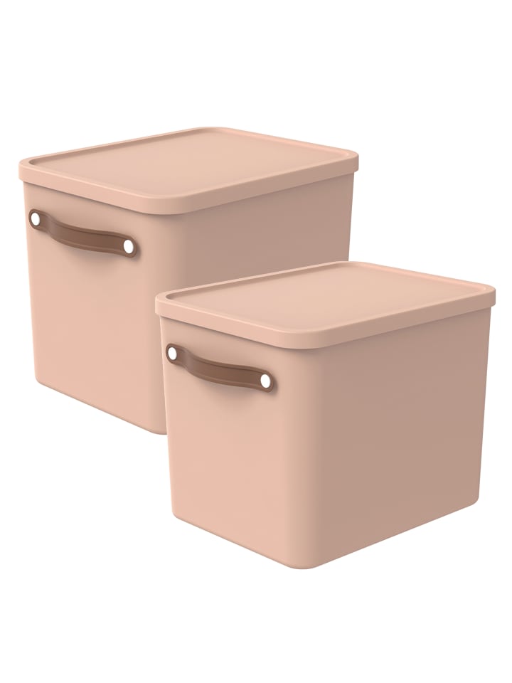 Rotho 2er-Set Aufbewahrungsbox Maloja 27l günstig kaufen onesize