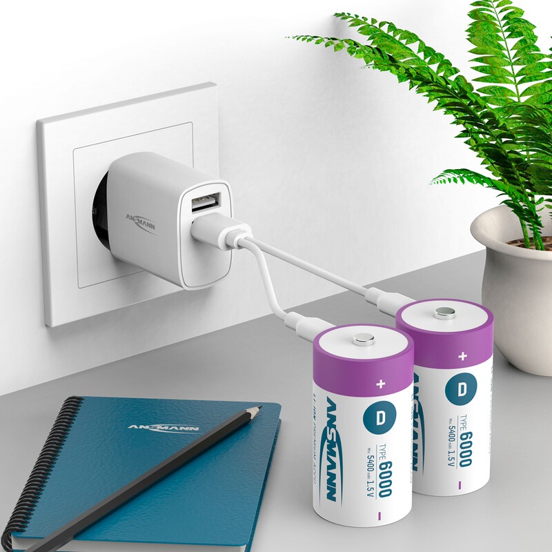 Ansmann Akku Li-Ion 1.5V D (Mono) Typ 6000 2 Stück