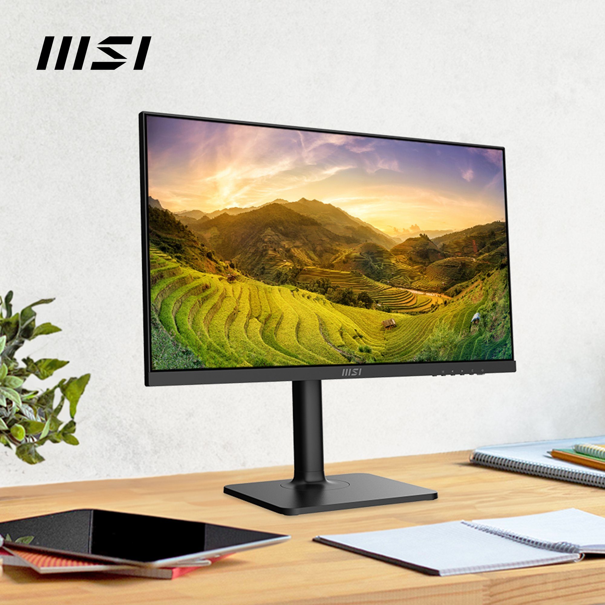 MSI Modern MD2412P LED-Monitor (60 cm/24 