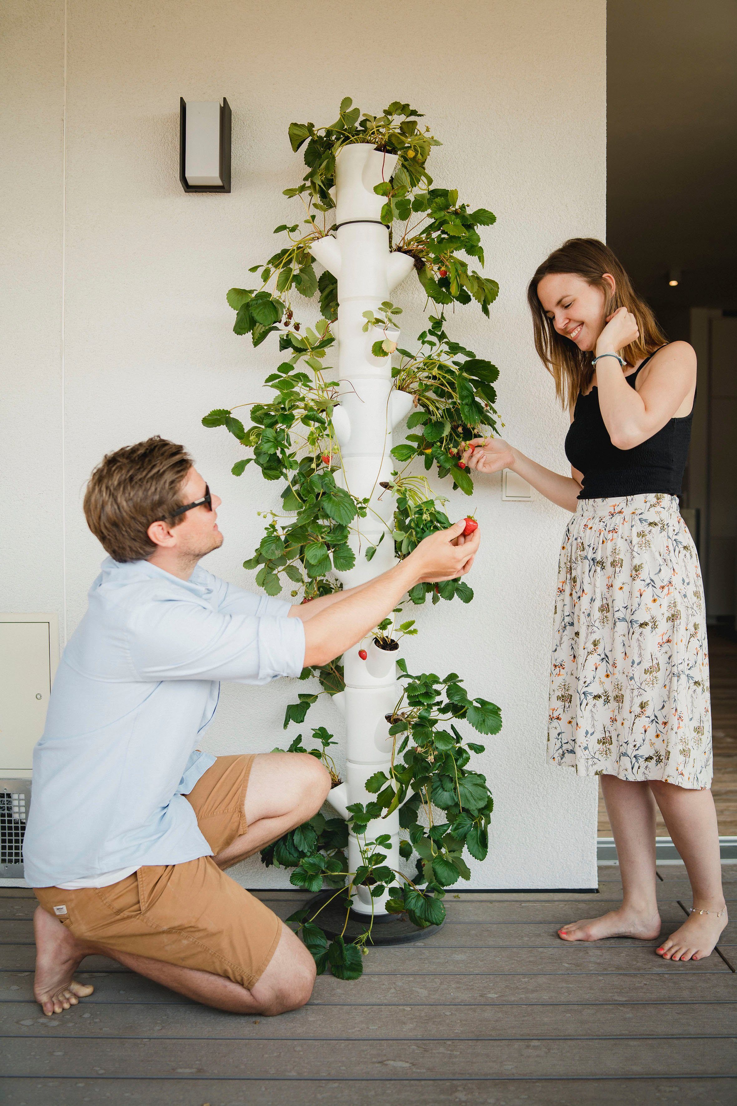 Gusta Garden Pflanzkübel SISSI STRAWBERRY Erdbeerbaum, 10 Etagen inkl. Untersetzer, Erdbeeren anbauen leicht gemacht
