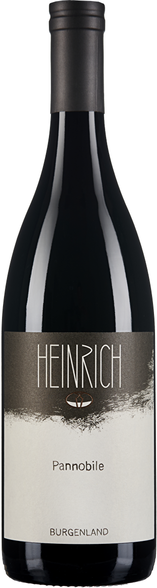 Gernot Heinrich Pannobile 2020