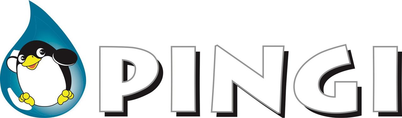 Pingi Auto-Entfeuchter