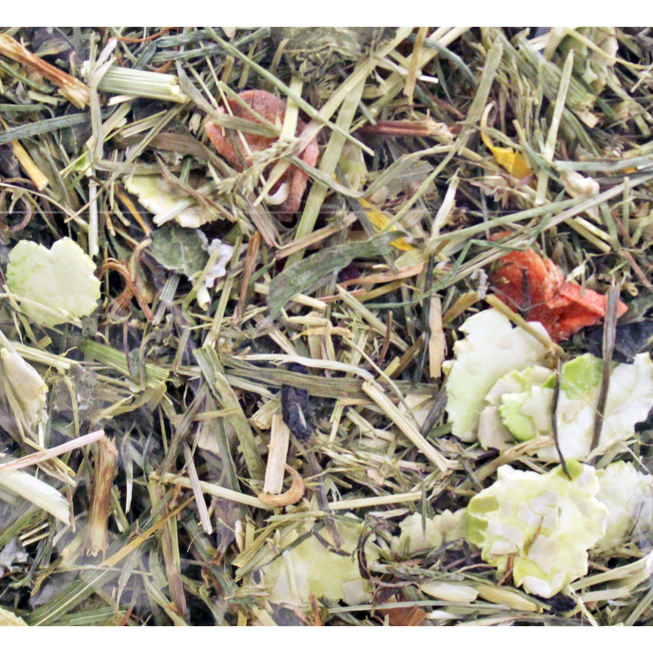 JR Farm Hauptfutter JR Farm Grainless Herbs Zwergkaninchen 3x400 g