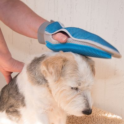 Doppelseitiger Pflegehandschuh