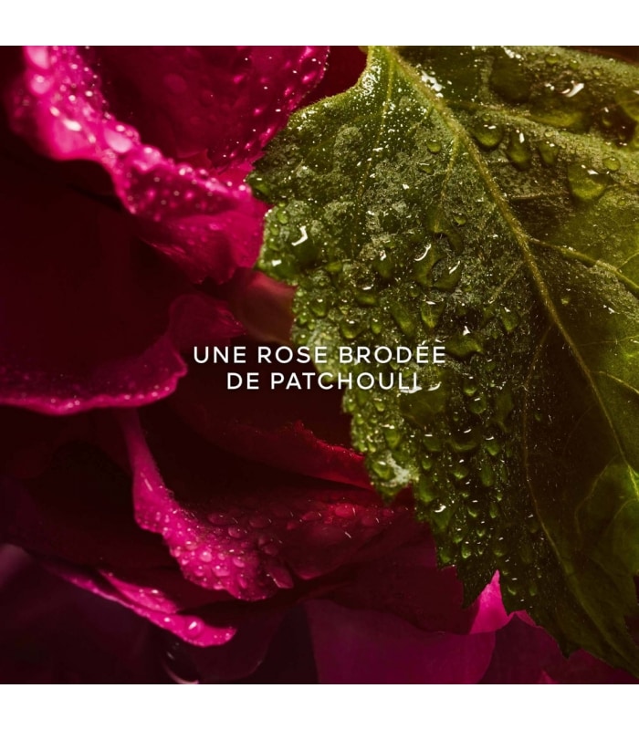 Guerlain-LA PETITE ROBE NOIRE-Eau de Parfum Absolue