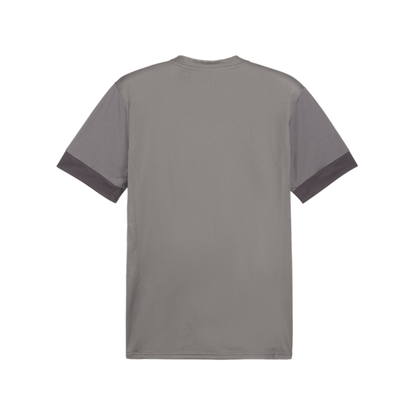 PUMA teamGOAL Matchday Trikot Grau Weiss F13
