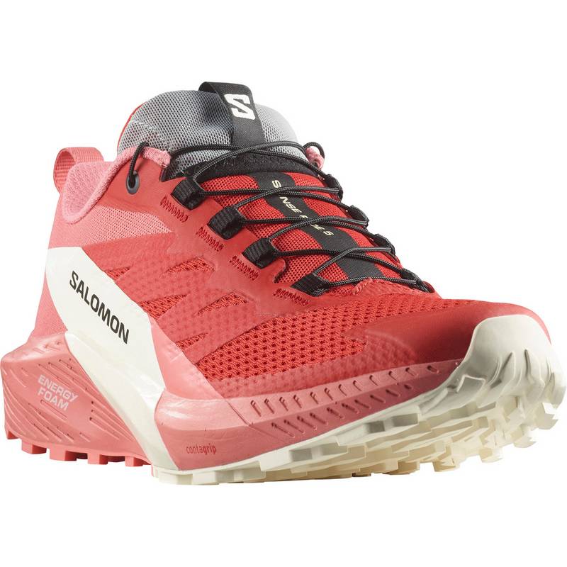 Salomon SENSE RIDE 5 Laufschuhe Damen