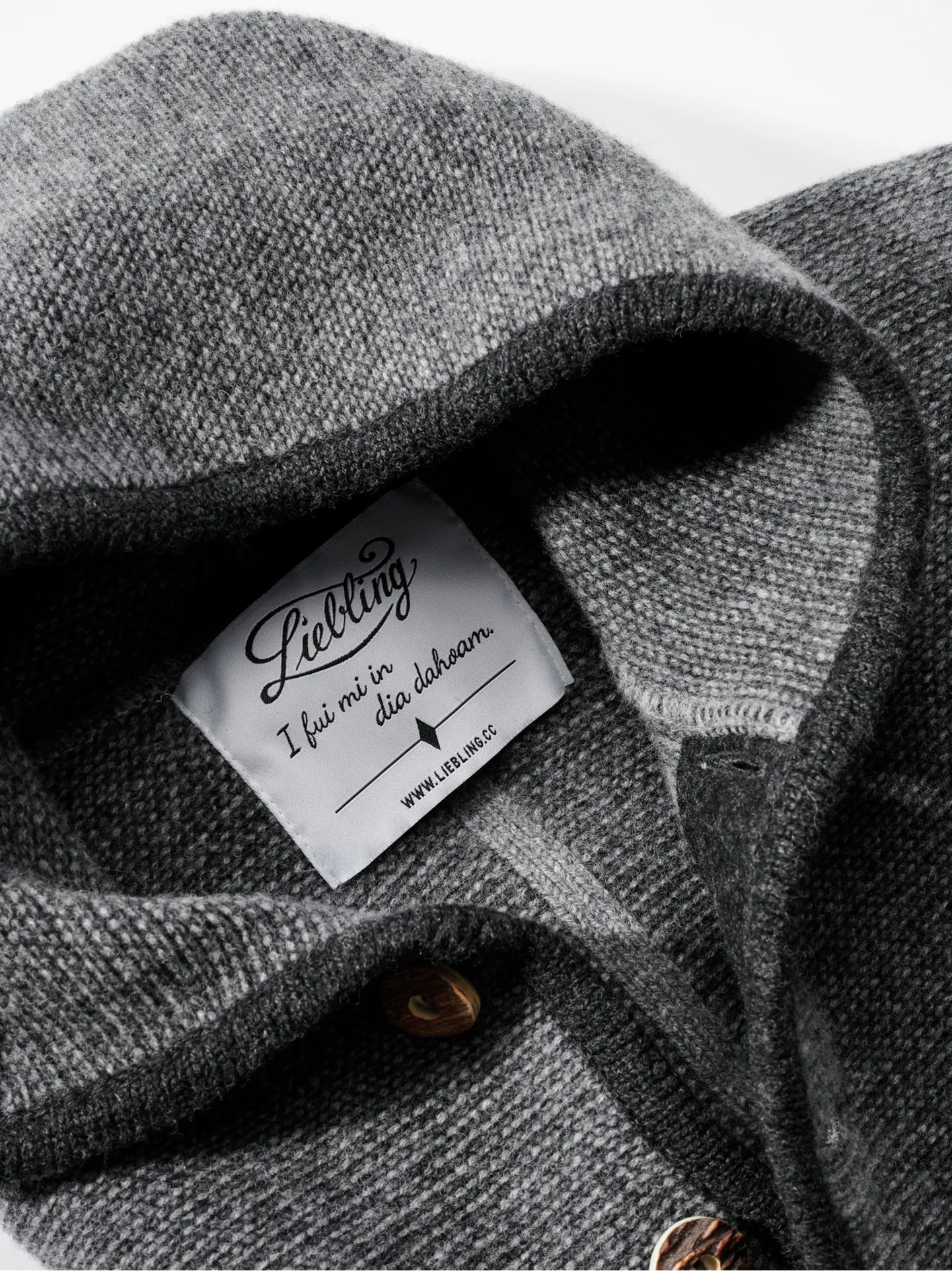 Alpen-Hoodie Thomas II