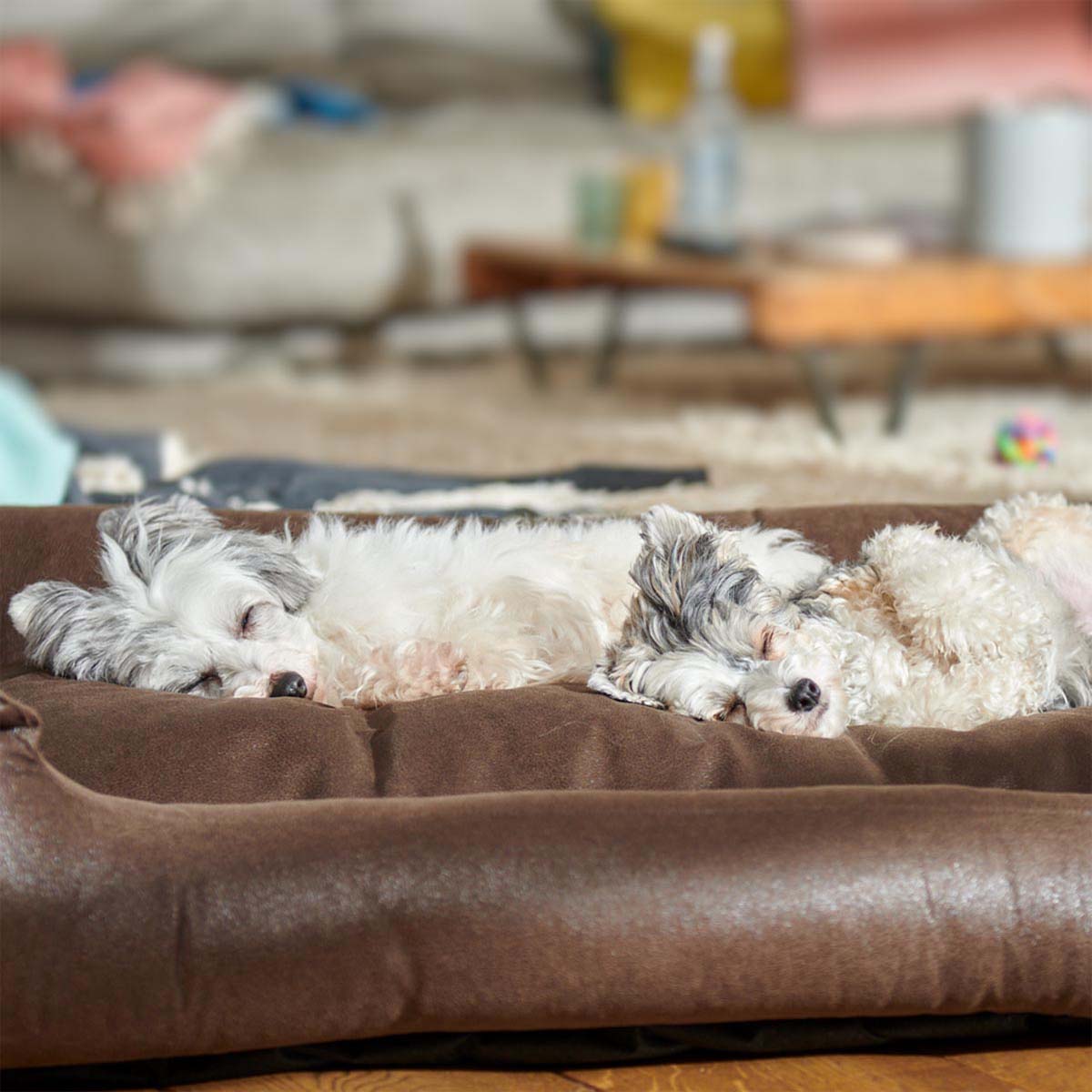 furrysoul Hundebett Emma braun günstig kaufen bei ZooRoyal