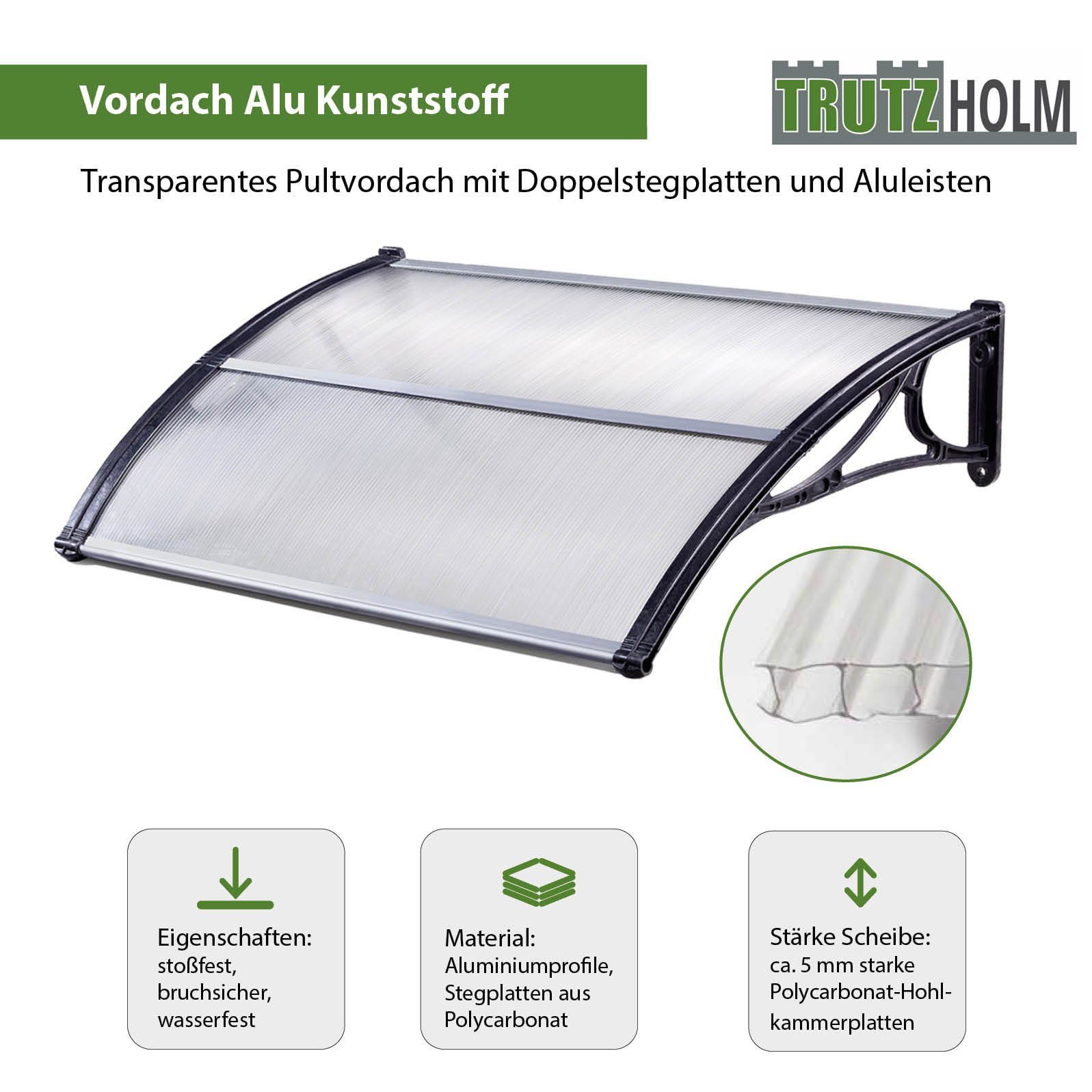 TRUTZHOLM Vordach diverse Größen und Farben Haustürdach Pultvordach Kunststoff Alu (1 St)