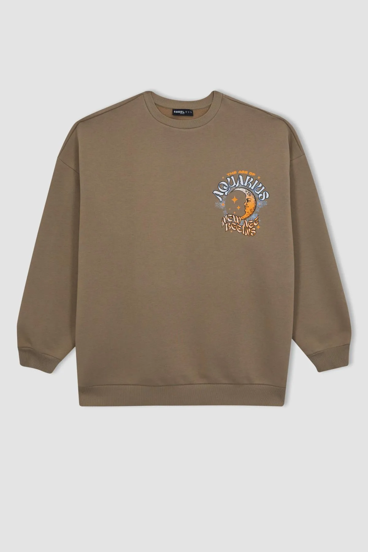 DeFacto  Cooles Sweatshirt mit Rundhalsausschnitt und Aufdruck auf der Rückseite in Übergröße A8978ax23wn