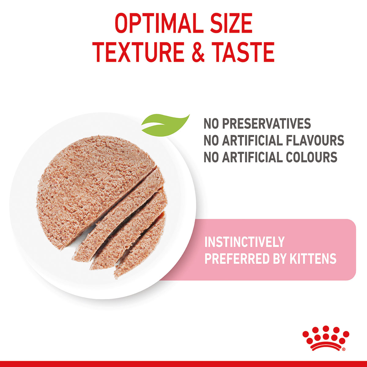 ROYAL CANIN KITTEN Nassfutter in Mousse für Kätzchen bei ZooRoyal