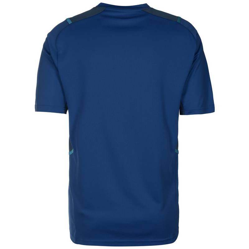 PUMA TeamCUP Funktionsshirt Herren