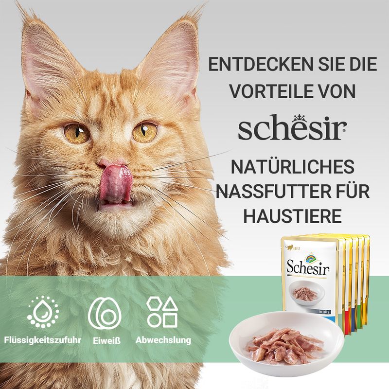 Sparpaket Schesir Jelly Pouch 24 x 85 g zu TOP-Preisen | bitiba %