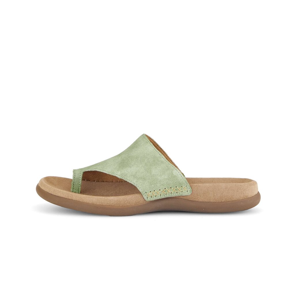 Gabor fashion Pantolette grün