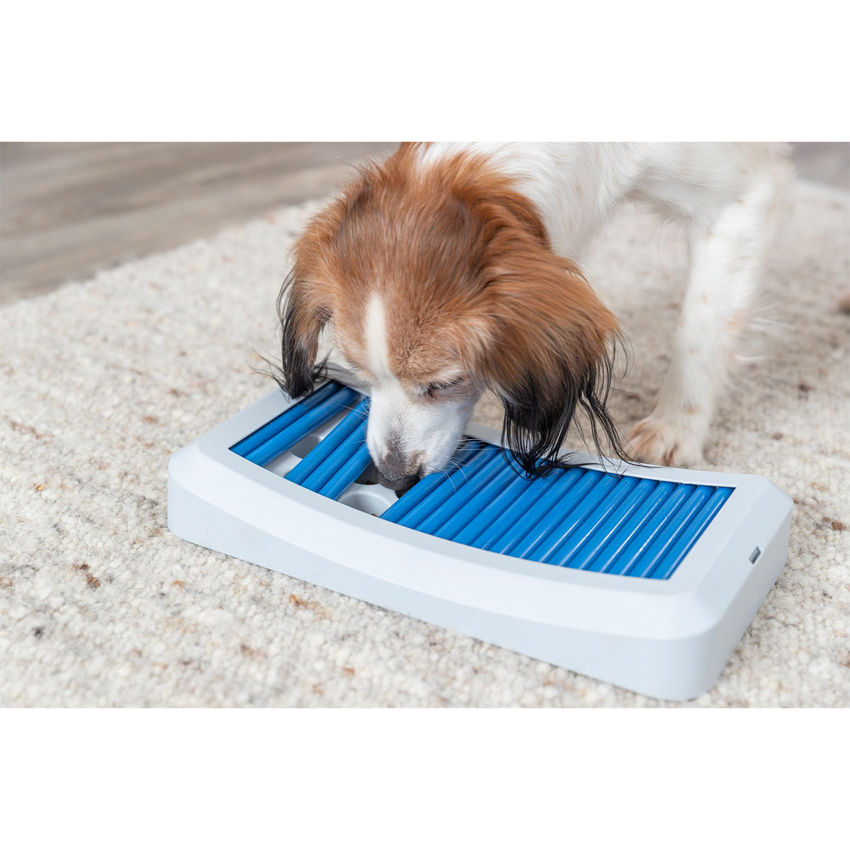 Trixie Dog Activity Stäbchenspiel Rod Board kaufen bei ZooRoyal