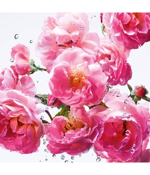 DIOR Miss Dior Rose N’Roses Eau de Toilette 100 ml