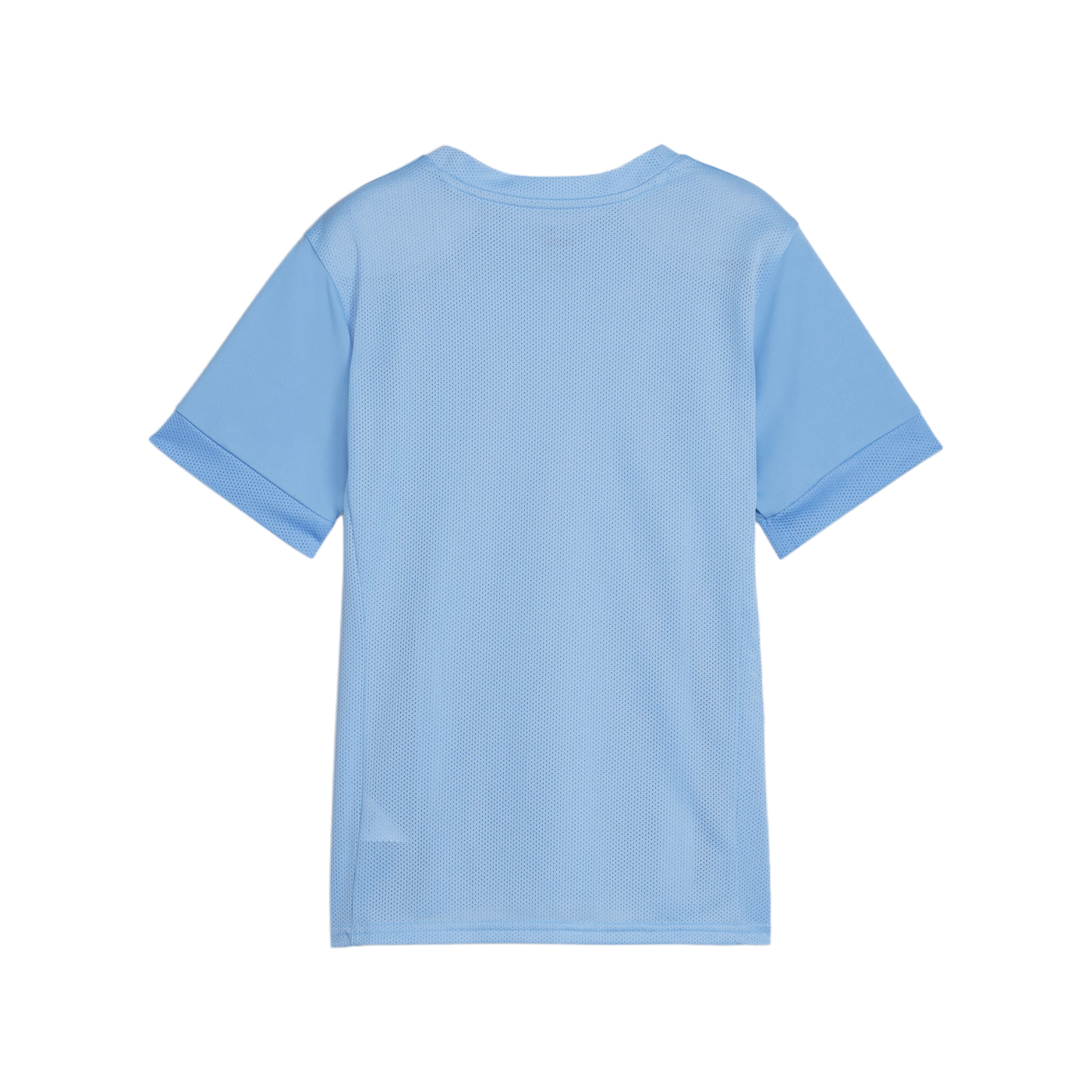 PUMA teamGOAL Matchday Trikot Kids Blau Weiss F18